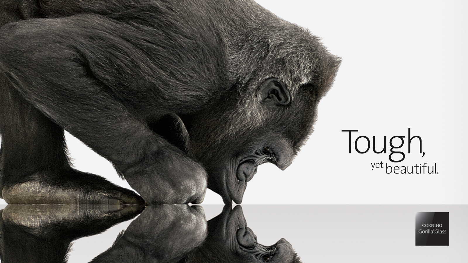 Corning® Gorilla® Glass Corning® Gorilla® Glass
